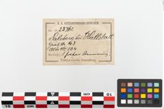 Etiketten zu Bronzearmreif (NHMW-PRAE-023761)